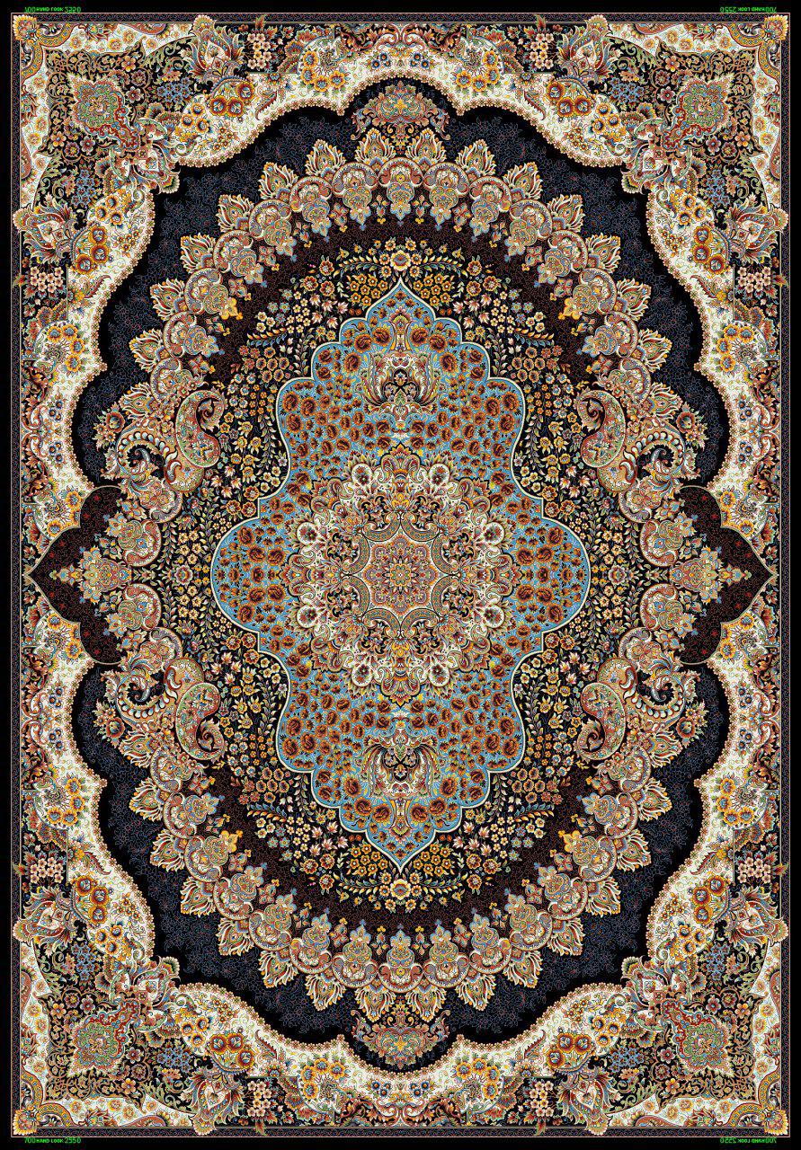 Owl Image
