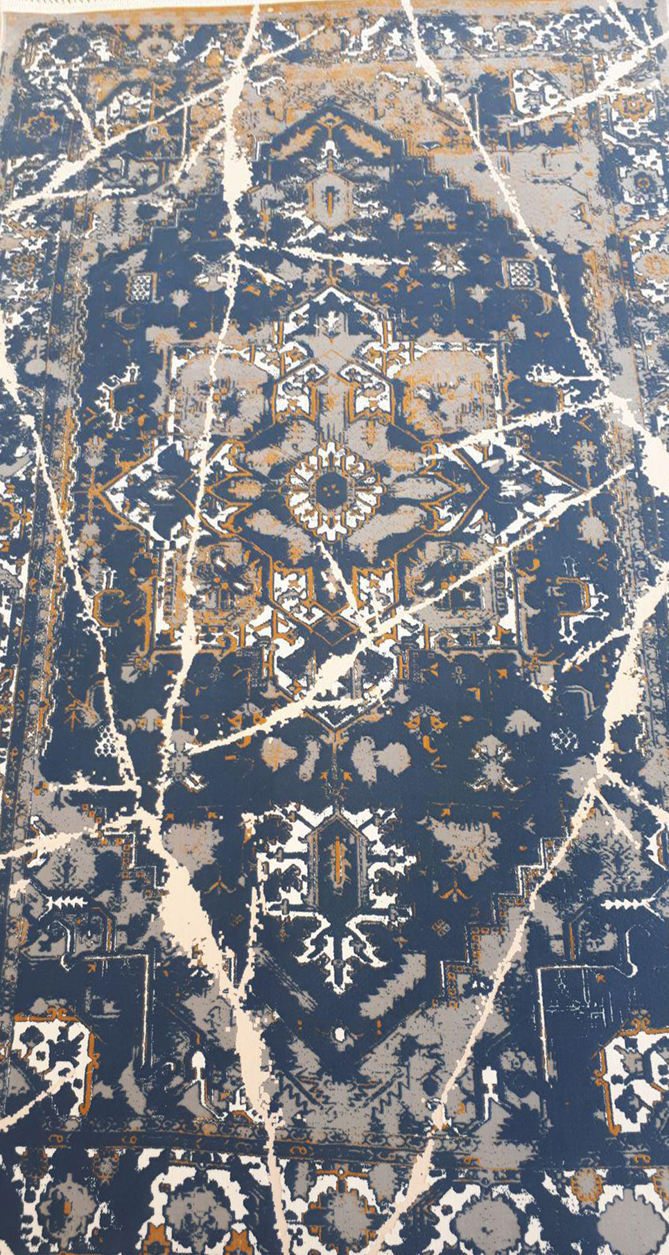 Owl Image