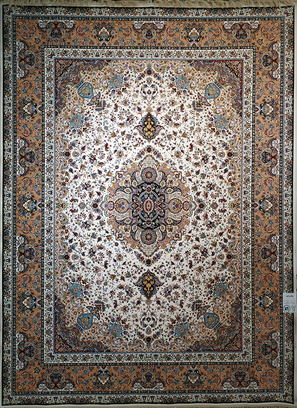 Owl Image