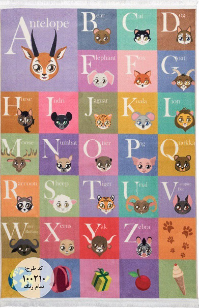 Owl Image