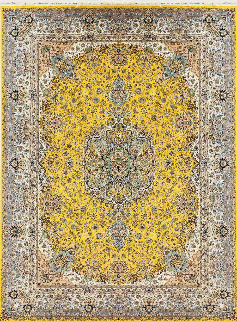 Owl Image